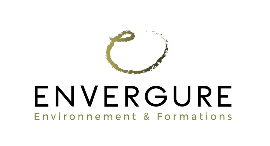 logo de la société Envergure à la Réunion